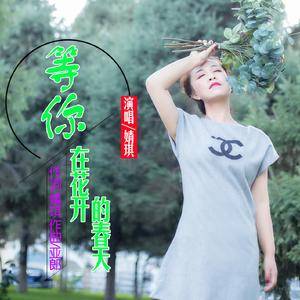 等你在花开的春天（DJ版）